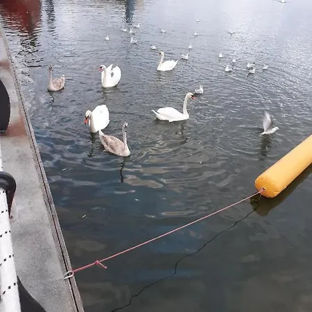 View Apartament Constanţa