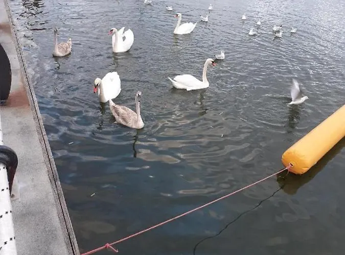 View 公寓 康斯坦察